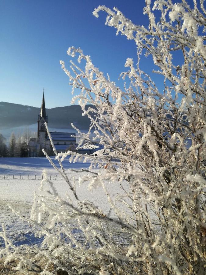 Appartementhaus Novak Mariapfarr Exterior foto